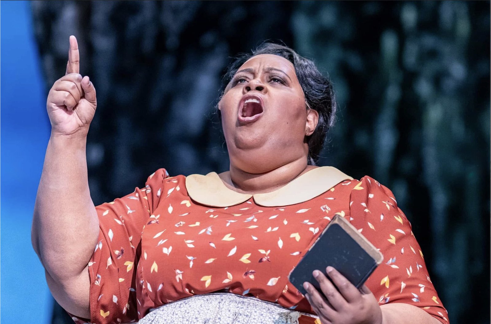 Porgy and Bess — image 8 of 16