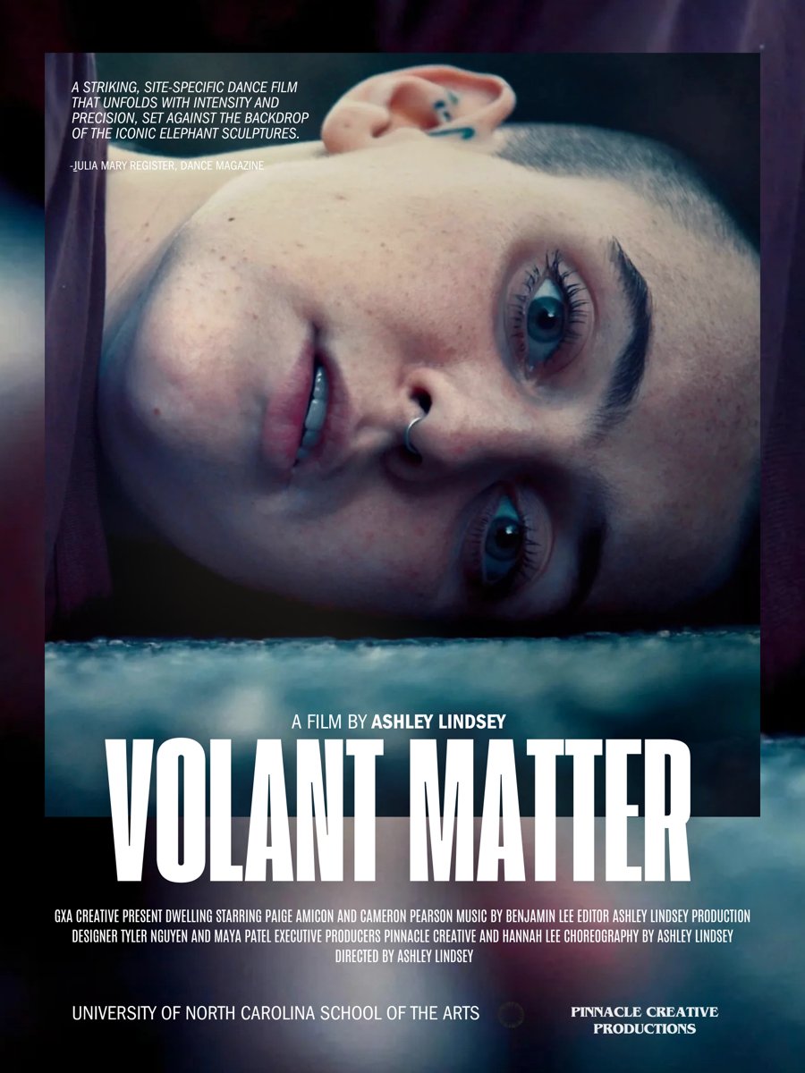 Volant Matter film poster